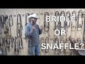 Bridle VS Snaffle | Something You May Not Have Known