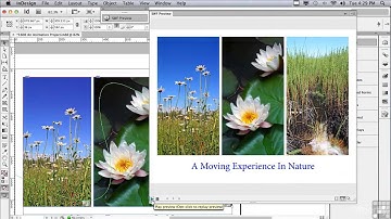Indesign CS6   1608 An Animation Project