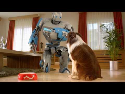 Vestel Klima Reklam Filmi - Yetenek Sizsiniz Birincisi Köpek