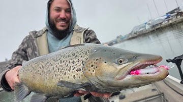 Wisconsin Harbor Trout Fishing - Lake Michigan 