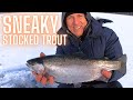 How to find big stocked rainbow trout ice fishing a lake