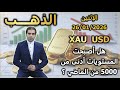 هل أصبحت الأسعار أدنى من 5000 من الماضي تحليل الذهب الإثنين 26 01 2026 