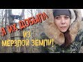 Коп 2019. Я добыла их из мерзлой земли!