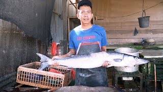 EXCELLENT GIANT BARACCUDA FISH CUTTING IN FISH MARKET INDONESIA || PERFECT FISH CUTTING