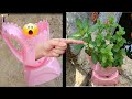 Recycling plastic bottles to grow herbs at home is beautiful