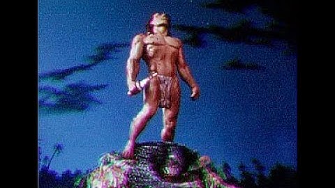 Where are the answers Feat.Tarzan VIEW MASTER