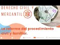 La reforma del procedimiento civil y familiar.