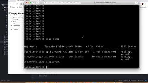 8.  Python Flask and ONTAP API