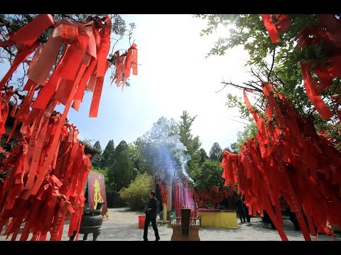 Video: Hoeveel volgelinge van Taoïsme is daar?