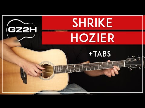 Shrike Guitar Tutorial Hozier Guitar Fingerpicking Lesson