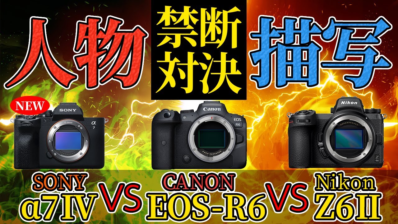 hheke【ジャンク】Canon Nikon CASIO SONYなど… デジカメ まとめ 