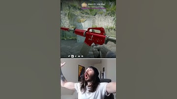 Rating M4A1-S SKINS IN COUNTER STRIKE 2