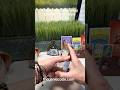 ASMR  Daily Double Tarot Draw 5/27/2026✨#tarot #dailytarot #thegeniecodeshop