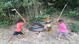 Wow! Amazing Children Catch Big Water Snake In Hole - Catch Snake In Cambodia #10