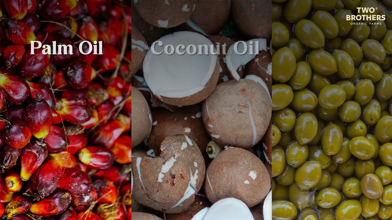 The 5 Best Palm Kernel Oil Substitutes for Any Situation - The Coconut Mama