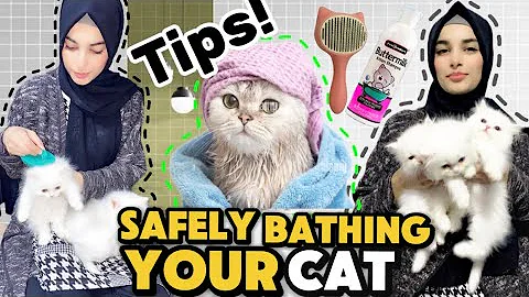 Watch the video about How to give a bath to kitten & cats easily | 8 steps to bathing your kittens & cats 🐈🧽