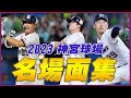 公式名場面集 2023シーズン 神宮球場での名場面を一挙公開 東京ヤクルトスワローズ 公式名場面集 2023シーズン 神宮球場での名場面を一挙公開 東京ヤクルトスワローズ