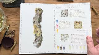 Botanical Sketchbook Complete, walkthrough