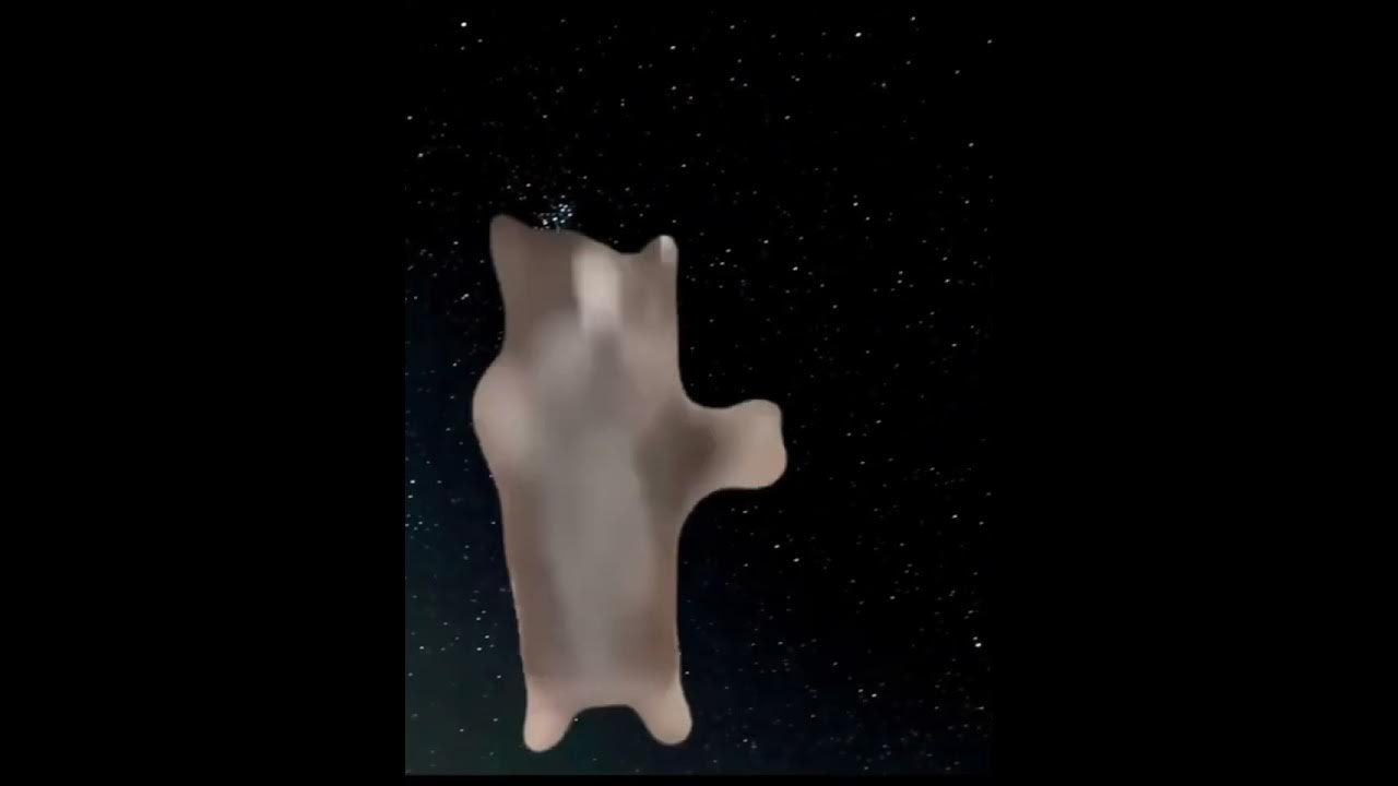 HAPPY HAPPY HAPPY DING DING DING DING HAPPY HAPPY HAPPY HAPPY YouTube