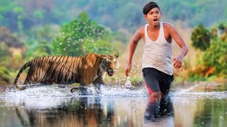 Royal bengal tiger attack 🌲🌲 | tiger attack man in the forest, tiger attack in jungle