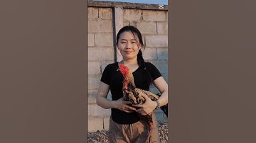 #hmoob #qaib #hmoobtxojkevuaneej