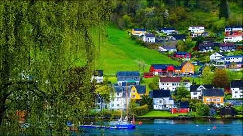 قراءة خاشعة ومؤثرة جدا مع دعاء القنوت بصوت القارئ الشيخ / عمر الثويني