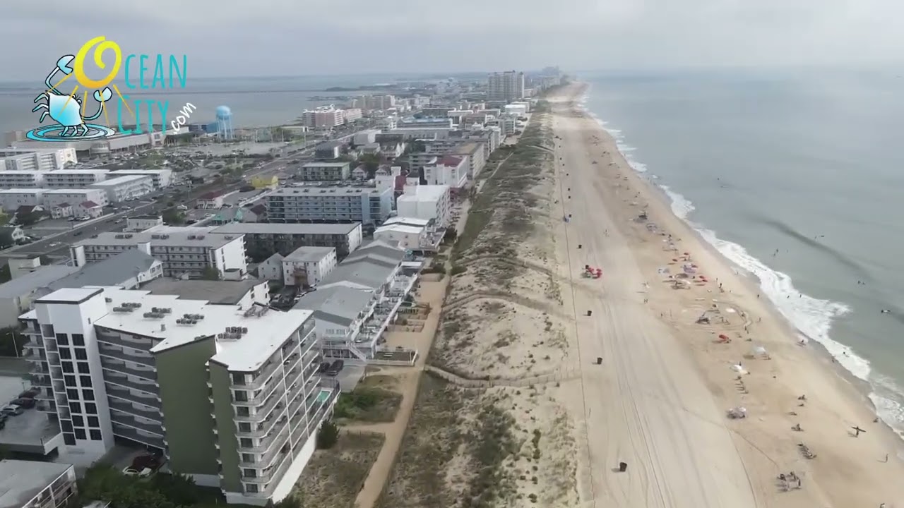Are Dogs Allowed On Ocean City Md Beach