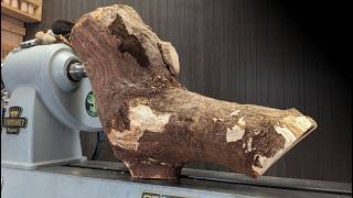 What Was Hiding Inside This Rotten London Plane? Woodturning