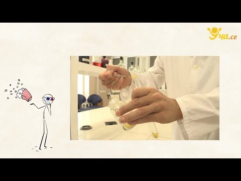Видео: Кои са предметите по бакалавърска химия?
