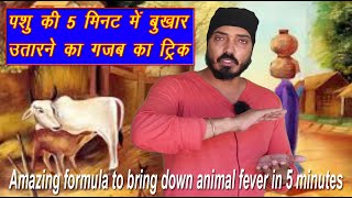 पशु की 5 मिनट में बुखार कैसे उतारे जाने गजब का फॉर्मूला || how to bring down animal fever