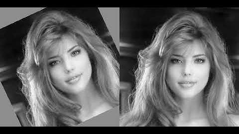 Dense Associative Memory - Rotation