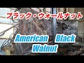 アメリカン・ブラック・ウォールナットAmerican Black Walnutの製材です。