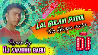 Lal Gulabi Phool Tor khopa mein  _dj sambhu babu :