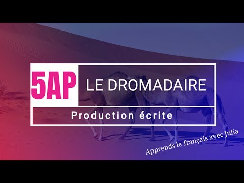 Français 5 AP Le Dromadaire Production écrite