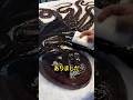 魚を記録する天才的な方法