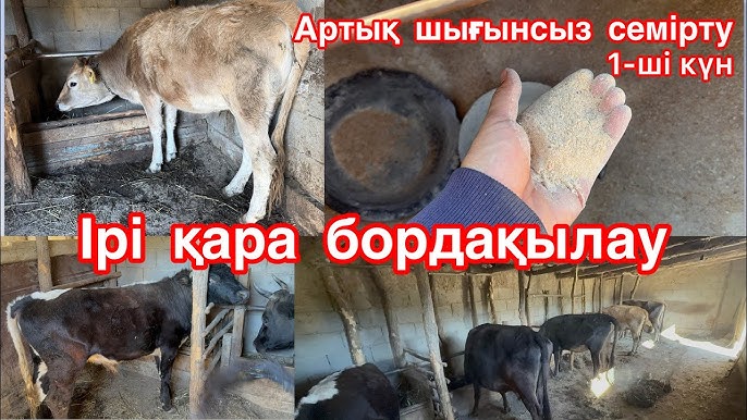 Үйде егде жастағы секс онлайн Классикалық ретро порно фильмдер