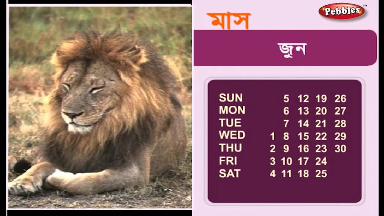 Learn Months In Bengali Learn Bengali Learn Bengali For Beginners