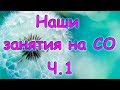 Семья Бровченко. Наши первые школьные занятия дома на СО. (часть 1)(09.15г.)