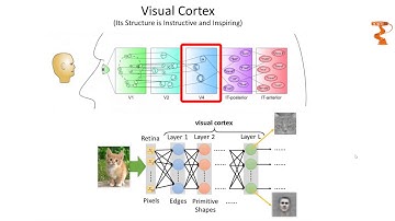Convolutional Neural Networks (CNN) Explained | Deep Learning