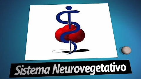 ¿Cómo está constituido el sistema nervioso neurovegetativo?