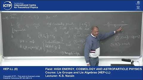 Lie Groups and Lie Algebras (HEP-LL) Lecture 8