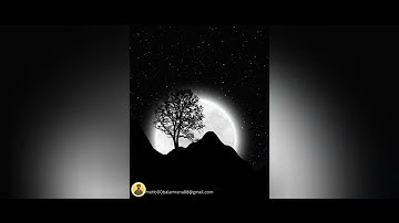 How to make a creative wallpapers on Canva