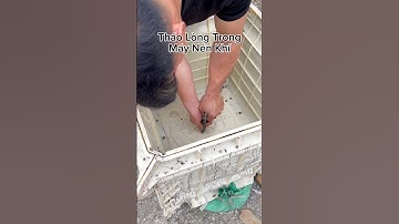 hướng dẫn tháo lòng trong khuôn chậu cảnh bằng máy nén khí #khuonducchaucanhcongthanhcnc