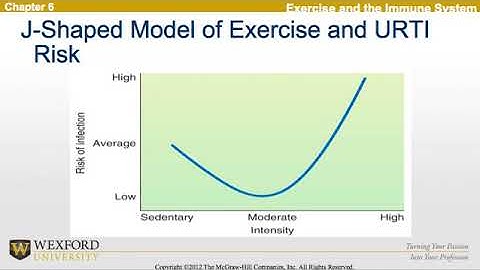 Exercise and the Immune System