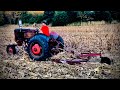 Mulching Corn Stalks! - Case VAC-14