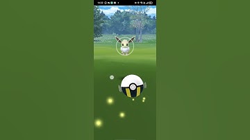 Catching Wild shiny eevee no spoofing 3 #PokemonGo