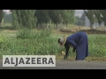 The Mother Refugees - Al Jazeera World