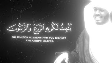 هُوَ الَّذِي أَنزَلَ مِنَ السَّمَاءِ مَاءً ۖ|سورة النحل تلاوة رائعة لشيخ ياسر بن راشد الدوسري