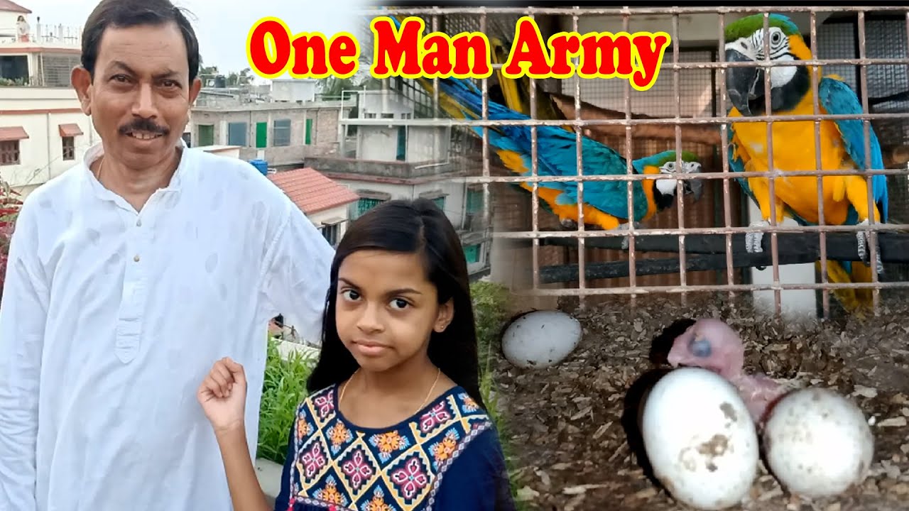 Get a great achievement|| Babu da Parrot birds farm visit again||  (Kolkata Lovebirds) part-1