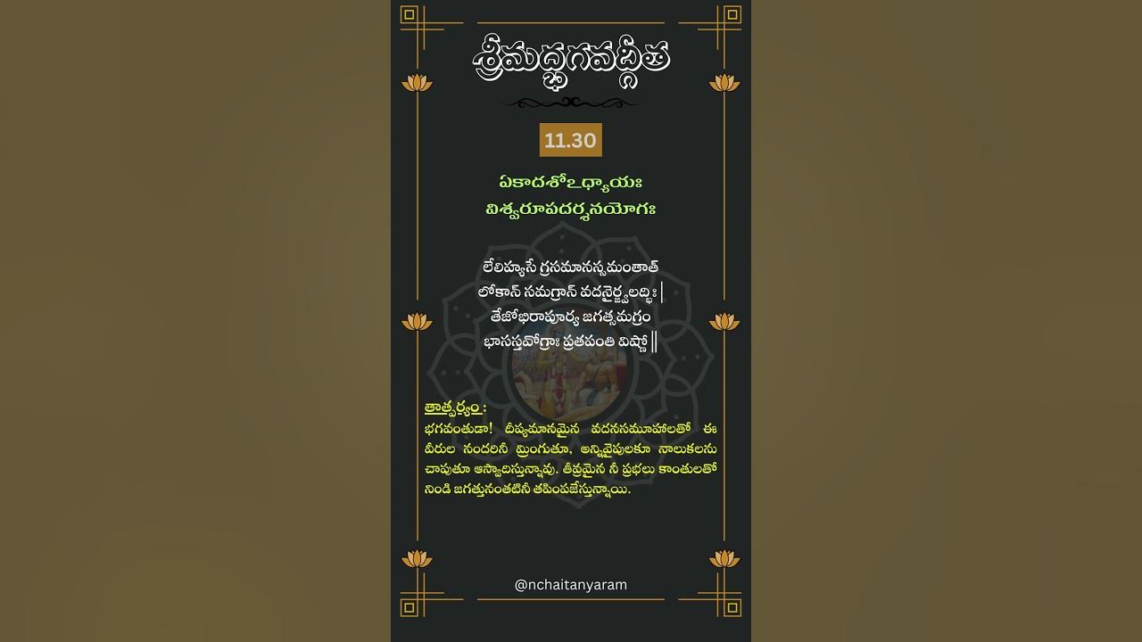 srimad-bhagavat-gita-chapter-11-verse-30-trending-bhagavadgita